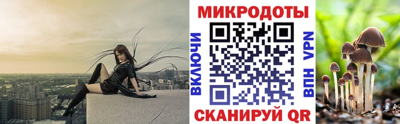 купить наркоту Новый Оскол Галлюциногенные грибы ЛСД